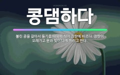 🌟콩댐하다: 불린 콩을 갈아서 들기름 따위에 섞어 장판에 바르다. 장판이 오래가고 윤과 빛이 나게 하려고 한다. - 표준국어대사전
