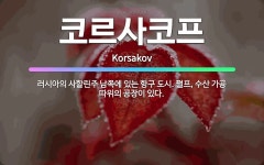 🌟코르사코프: 러시아의 사할린주 남쪽에 있는 항구 도시. 펄프, 수산 가공 따위의 공장이 있다. - 표준국어대사전