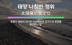🌟태양 나침반 정위: 동물이 태양의 위치와 자신의 시각 감각으로 방향을 확인하는 일. - 표준국어대사전