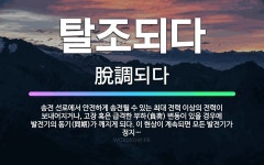 🌟탈조되다: 송전 선로에서 안전하게 송전될 수 있는 최대 전력 이상의 전력이 보내어지거나, 고장 혹은 급격... - 표준국어대사전
