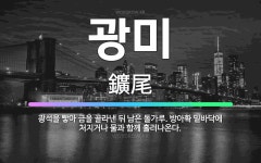 🌟광미: 광석을 빻아 금을 골라낸 뒤 남은 돌가루. 방아확 밑바닥에 처지거나 물과 함께 흘러나온다. - 표준국어대사전