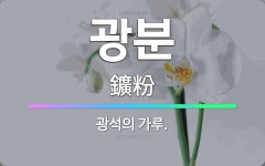 🌟광분: 광석의 가루. - 표준국어대사전