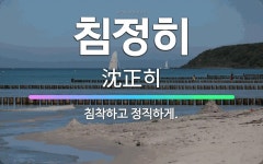 🌟침정히: 침착하고 정직하게. - 표준국어대사전