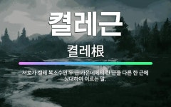 🌟켤레근: 서로가 켤레 복소수인 두 근 가운데에서 한 근을 다른 한 근에 상대하여 이르는 말. - 표준국어대사전