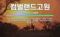 🌟컴벌랜드고원: 미국 애팔래치아산맥 서남쪽에 있는 고원. 애팔래치아산맥을 구성하는 3대 산계 중에서 가장 ... - 표준국어대사전