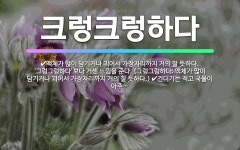 🌟크렁크렁하다: 눈에 눈물이 넘칠 듯이 그득 괴어 있다. ‘그렁그렁하다’보다 거센 느낌을 준다. (그렁그렁... - 표준국어대사전