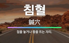 🌟침혈: 침을 놓거나 뜸을 뜨는 자리. - 표준국어대사전