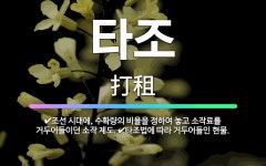🌟타조: 타조법에 따라 거두어들인 현물., 조선 시대에, 수확량의 비율을 정하여 놓고 소작료를 거두어들이던... - 표준국어대사전