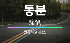 🌟통분: 원통하고 분함. - 표준국어대사전