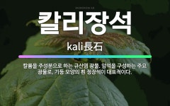 🌟칼리장석: 칼륨을 주성분으로 하는 규산염 광물. 암석을 구성하는 주요 광물로, 기둥 모양의 흰 정장석이 ... - 표준국어대사전