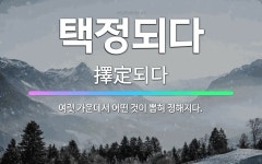🌟택정되다: 여럿 가운데서 어떤 것이 뽑혀 정해지다. - 표준국어대사전