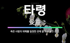 🌟타령: 죽은 사람의 위패를 일정한 곳에 잘 모셔 놓고 섬김. - 표준국어대사전