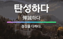 🌟탄성하다: 정성을 다하다. - 표준국어대사전