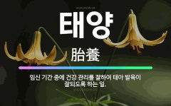 🌟태양: 임신 기간 중에 건강 관리를 잘하여 태아 발육이 잘되도록 하는 일. - 표준국어대사전