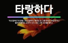 🌟타랑하다: ‘타드랑하다’의 준말. (타드랑하다: 깨어진 쇠 그릇 따위가 부딪치거나 떨어져 울리는 소리가 ... - 표준국어대사전