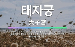 🌟태자궁: 황태자가 거처하던 궁전., ‘황태자’를 높여 이르던 말. (황태자: 황제국에서, 황제의 자리를 ... - 표준국어대사전