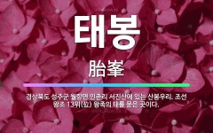 🌟태봉: 경상북도 성주군 월항면 인촌리 서진산에 있는 산봉우리. 조선 왕조 13위(位) 왕족의 태를 묻은 ... - 표준국어대사전