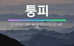 🌟퉁피: 한 사람 몫의 국물이 들어갈 만한 크기의, 전이 넓은 그릇. - 표준국어대사전