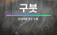 🌟구붓: 잎담배를 엮은 두름. - 표준국어대사전