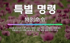 🌟특별 명령: 부대원 모두에게 두루 내리는 명령이 아닌 개인 또는 몇몇 사람에게만 적용되는 군사 명령. 보... - 표준국어대사전