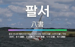 🌟팔서: 중국 진나라 때에 쓰던 여덟 가지의 서체. 대전(大篆), 소전(小篆), 각부(刻符), 충서(蟲書)... - 표준국어대사전