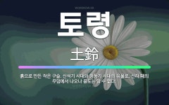 🌟토령: 흙으로 만든 작은 구슬. 신석기 시대와 청동기 시대의 유물로, 신라 때의 무덤에서 나오나 용도는 ... - 표준국어대사전