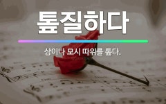🌟톺질하다: 삼이나 모시 따위를 톺다. - 표준국어대사전