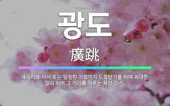 🌟광도: 제자리에 서서 또는 일정한 지점까지 도움닫기를 하여 최대한 멀리 뛰어 그 거리를 겨루는 육상 경기. - 표준국어대사전