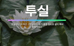 🌟투실: ‘투실하다’의 어근. (투실하다: 보기 좋을 정도로 살이 쪄서 퉁퉁하다.) - 표준국어대사전