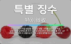 🌟특별 징수: 수입 원천에서 직접 세금을 징수하는 방법. 조세를 징수할 때 직접 납세자에게 납부하도록 하지... - 표준국어대사전