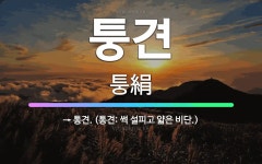 🌟퉁견: → 통견. (통견: 썩 설피고 얇은 비단.) - 표준국어대사전