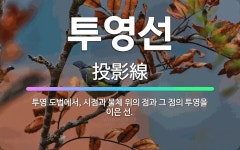 🌟투영선: 투영 도법에서, 시점과 물체 위의 점과 그 점의 투영을 이은 선. - 표준국어대사전