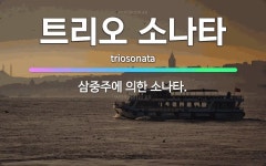 🌟트리오 소나타: 삼중주에 의한 소나타. - 표준국어대사전