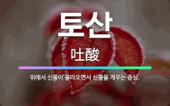 🌟토산: 위에서 신물이 올라오면서 신물을 게우는 증상. - 표준국어대사전