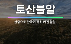 🌟토산불알: 산증으로 한쪽이 특히 커진 불알. - 표준국어대사전