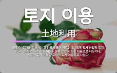 🌟토지 이용: 인간이 토지를 이용하는 행위를 통틀어 이르는 말. 크게 일차 산업적 토지 이용ㆍ이차 산업적 ... - 표준국어대사전