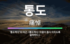 🌟통도: ‘통도하다’의 어근. (통도하다: 마음이 몹시 아프도록 슬퍼하다.) - 표준국어대사전