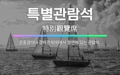 🌟특별관람석: 운동장이나 경마장 따위에서 정면에 있는 관람석. - 표준국어대사전