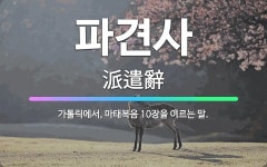 🌟파견사: 가톨릭에서, 마태복음 10장을 이르는 말. - 표준국어대사전