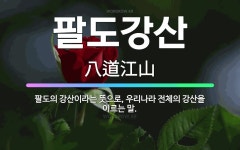 🌟팔도강산: 팔도의 강산이라는 뜻으로, 우리나라 전체의 강산을 이르는 말. - 표준국어대사전