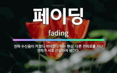 🌟페이딩: 전파 수신음이 커졌다 작아졌다 하는 현상. 다른 전파로를 지난 전파가 서로 간섭하여 생긴다. - 표준국어대사전
