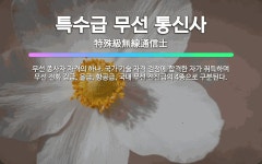 🌟특수급 무선 통신사: 무선 종사자 자격의 하나. 국가 기술 자격 검정에 합격한 자가 취득하며 무선 전화 ... - 표준국어대사전