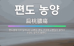 🌟편도 농양: 편도염에 이어 일어나는 고름집. 편도 주위에 고름집이 생겨서 조금도 삼키지 못한다. - 표준국어대사전