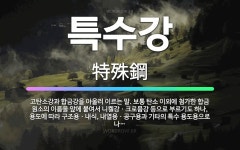 🌟특수강: 고탄소강과 합금강을 아울러 이르는 말. 보통 탄소 이외에 첨가한 합금 원소의 이름을 앞에 붙여서... - 표준국어대사전
