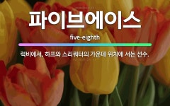 🌟파이브에이스: 럭비에서, 하프와 스리쿼터의 가운데 위치에 서는 선수. - 표준국어대사전