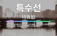 🌟특수선: 특수한 용도에 사용되는 선박. 군함, 상선(商船) 이외의 이민선(移民船), 작업선, 운반선, 유... - 표준국어대사전