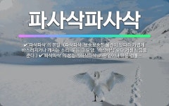 🌟파사삭파사삭: ‘파삭파삭’의 본말. (파삭파삭: 보송보송한 물건이 잇따라 가볍게 바스러지거나 깨지는 소리... - 표준국어대사전