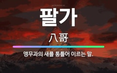 🌟팔가: 앵무과의 새를 통틀어 이르는 말. - 표준국어대사전