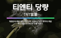🌟티엔티 당량: 핵폭탄의 폭발 에너지의 단위. 티엔티(TNT) 화약의 폭발 에너지양으로 환산한 수를 이른다. - 표준국어대사전