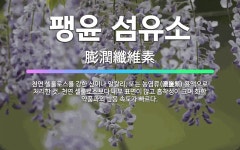 🌟팽윤 섬유소: 천연 셀룰로스를 강한 산이나 알칼리, 또는 농염류(濃鹽類) 용액으로 처리한 것. 천연 셀룰... - 표준국어대사전